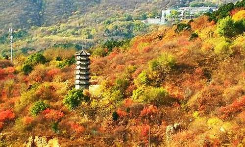 北京西山森林国家公园,北京西山森林公园景