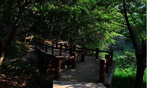 广州龙头山森林公园爬山多久_广州龙头山景