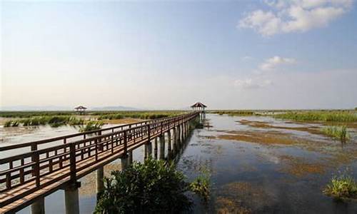 崇明岛旅游攻略景点必去小孩玩的地方有哪些_崇明岛旅游攻略景点