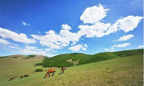 丰宁坝上草原旅游攻略自驾游路线最新_丰宁