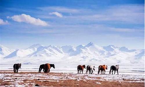 青海冬季旅游攻略景点大全图,青海冬季旅游攻略景点大全