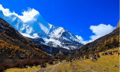 稻城亚丁8月份的景区图片_四川稻城亚丁旅游攻略8月份的