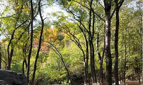 北京西山森林公园门票多少钱,北京森林公园门票多少钱