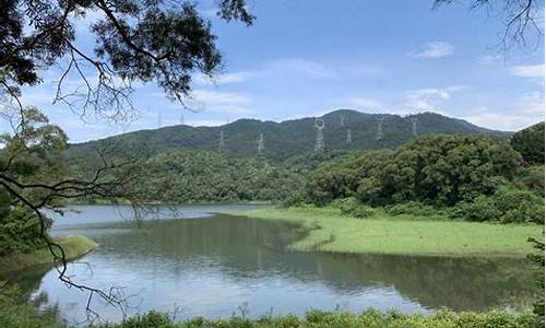 厦门天竺山森林公园鸳鸯溪,厦门天竺山森林公园鸳鸯溪在哪里