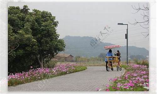 漳州郊野公园怎么去,漳州好玩的公园