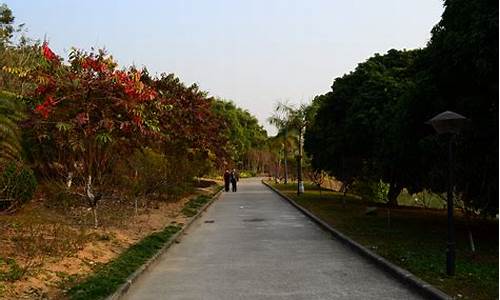 广州龙头山好玩吗,广州龙头山森林公园介绍