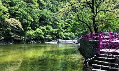 太平森林公园在哪坐车到达_太平森林公园在哪