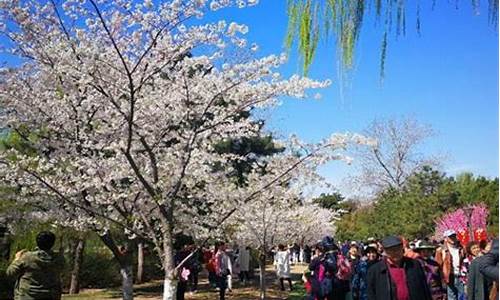 清明节去青龙湖公园_青龙湖公园收门票吗