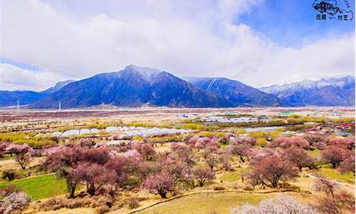 林芝旅游攻略必玩的景点大全图片_林芝旅游攻略必玩的景点大全