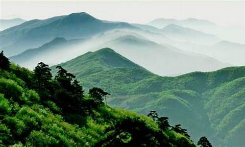 天目山视频,天目山旅游攻略抖音