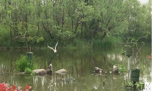 新江湾城公园咋样,新江湾城景点