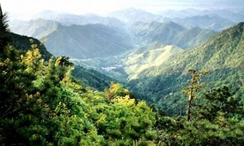 天目山旅游攻略自助游,天目山景区门票价格