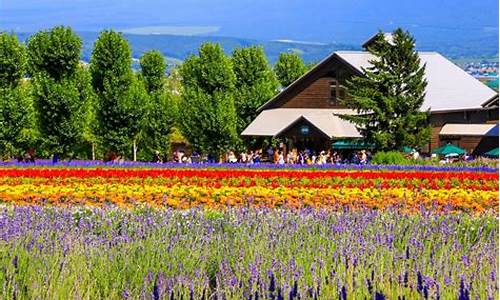 北海道春节旅游攻略_北海道旅游攻略夏季