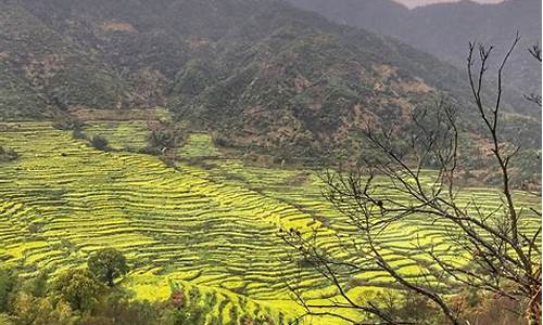 北京江西婺源旅游攻略,北京去江西婺源