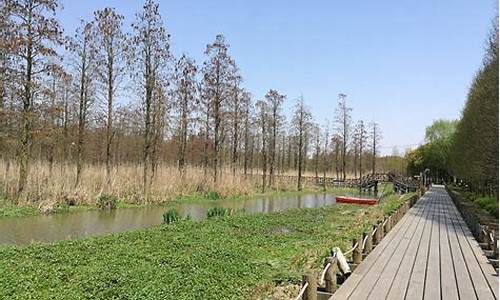 郊野公园位置,郊野公园森林公园