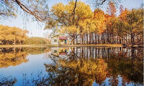 共青森林公园风景区_共青森林公园风景区介绍