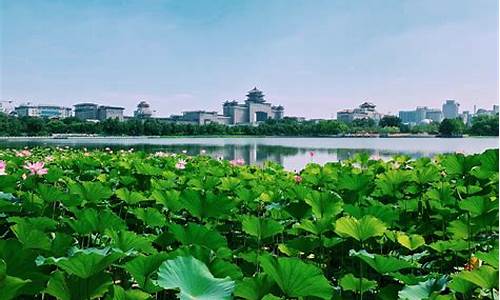 厦门莲花公园春满园餐厅怎么样_厦门莲花公园春满园餐厅