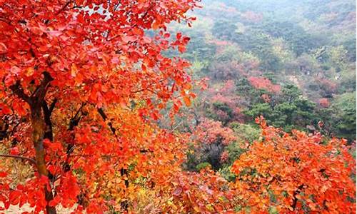 北京香山公园开放时间表,北京香山公园开放时间