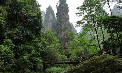 武汉到张家界旅游攻略_武汉到张家界旅游路线