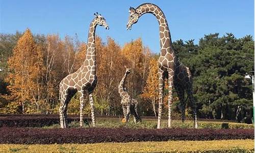 长春动植物公园电话,动植物公园