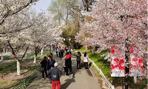 北京玉渊潭公园樱花节开放时间,北京玉渊潭公园樱花节开放时间表