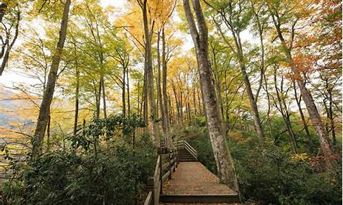 光雾山旅游攻略自驾游两天,光雾山旅游景区门票