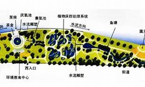 活水公园的水净化系统叫什么_活水公园的水净化系统