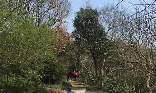 天马山公园适合老年人玩吗爬上去多久能逛完,天马山公园开放时间