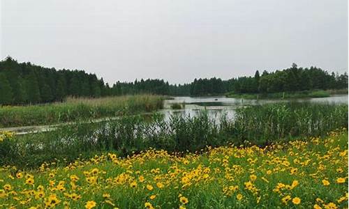 天津西青郊野公园,西青郊野公园