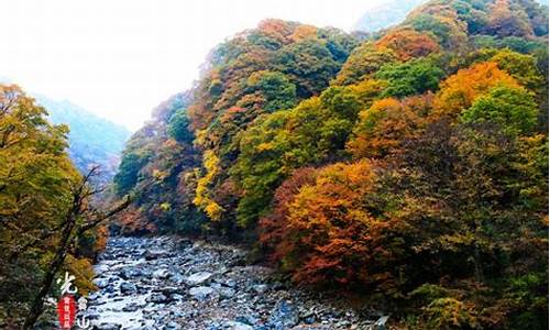 光雾山风景区自驾游路线,光雾山旅游攻略最新租车