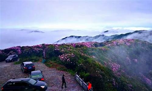 双牌阳明山攻略最新,双牌阳明山景点介绍