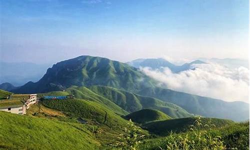 武功山旅游攻略杜鹃花_武功山花坳高山杜鹃