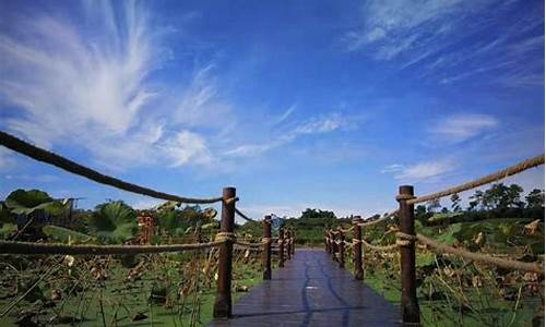 成都周边乡村一日游,成都周边乡村旅游攻略路线