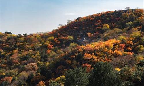 喇叭沟门原始森林公园天气,喇叭沟门原始森林公园