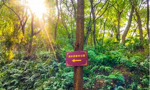 滴水岩森林公园门票多少钱-滴水岩森林公园爬山路线