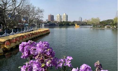 上海长风公园门票多少好玩吗,上海长风公园